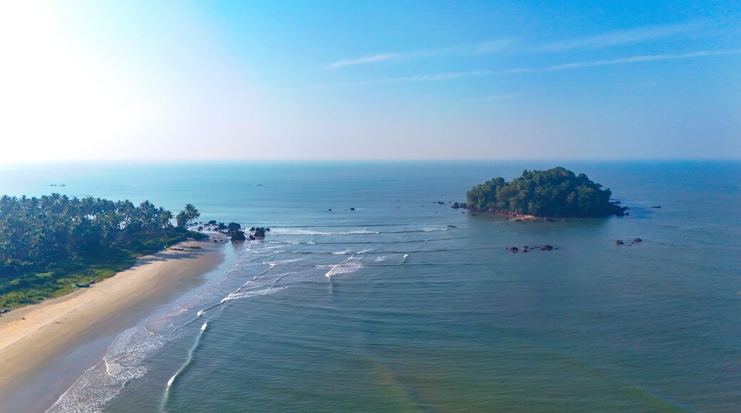 Breathtaking aerial view of Dharmadam Island, a private island covered in coconut trees located off the coast of Thalassery in Kannur, Kerala.