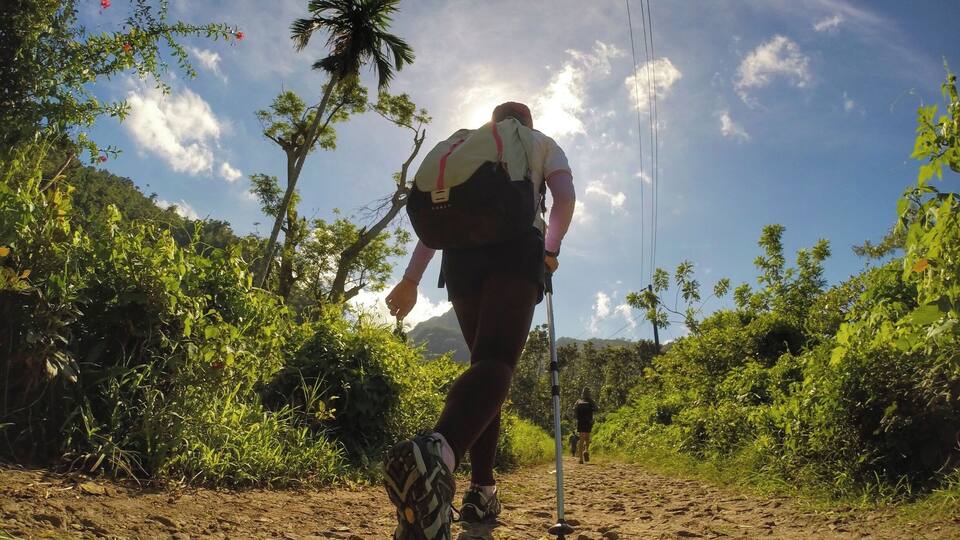 A hiker on a dirt path surrounded by lush greenery and a palm tree.