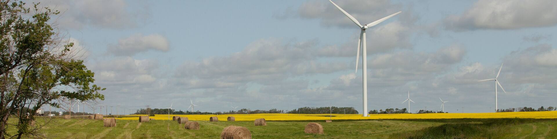 Wind turbines in a mustard filed in Moosomin, Saskatchewan, Canada.
