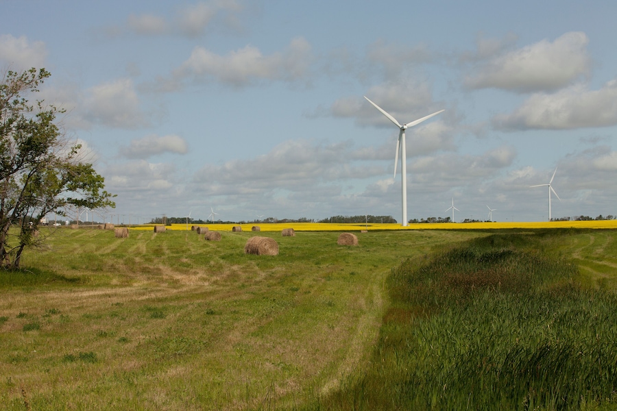Wind turbines in a mustard filed in Moosomin, Saskatchewan, Canada.