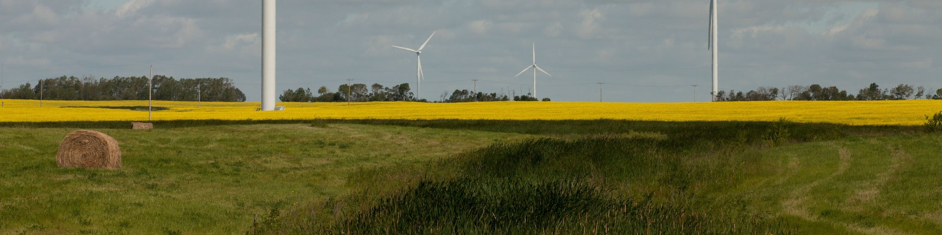 Wind turbines in a mustard filed in Moosomin, Saskatchewan, Canada.