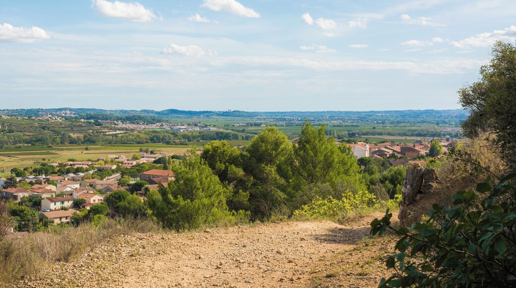 A trail in the commune of Murviel-lès-Béziers, Hérault, France. In the background a part of the village seen from the Northwest.
