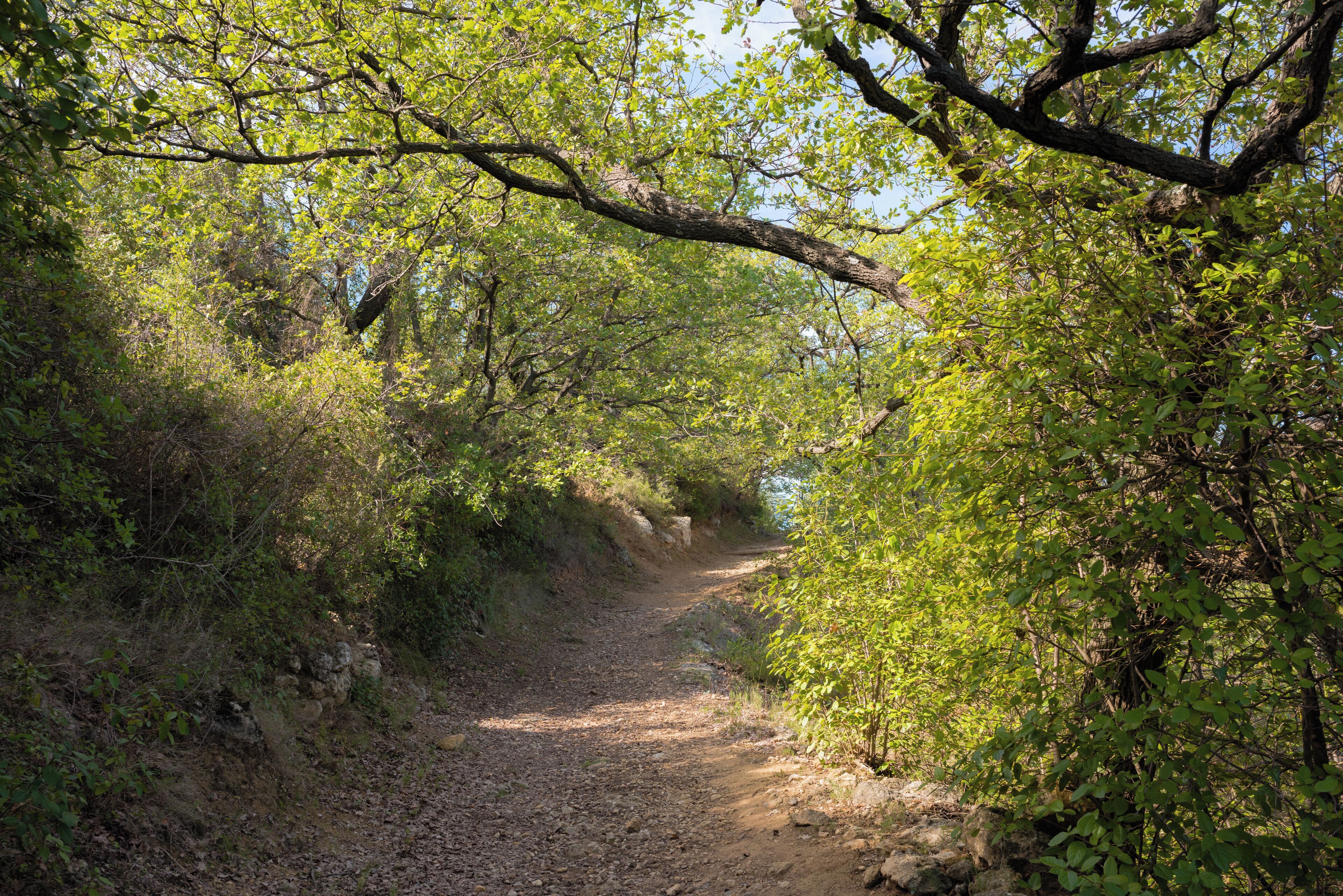 A trail in the commune of Murviel-lès-Béziers, Hérault, France.
