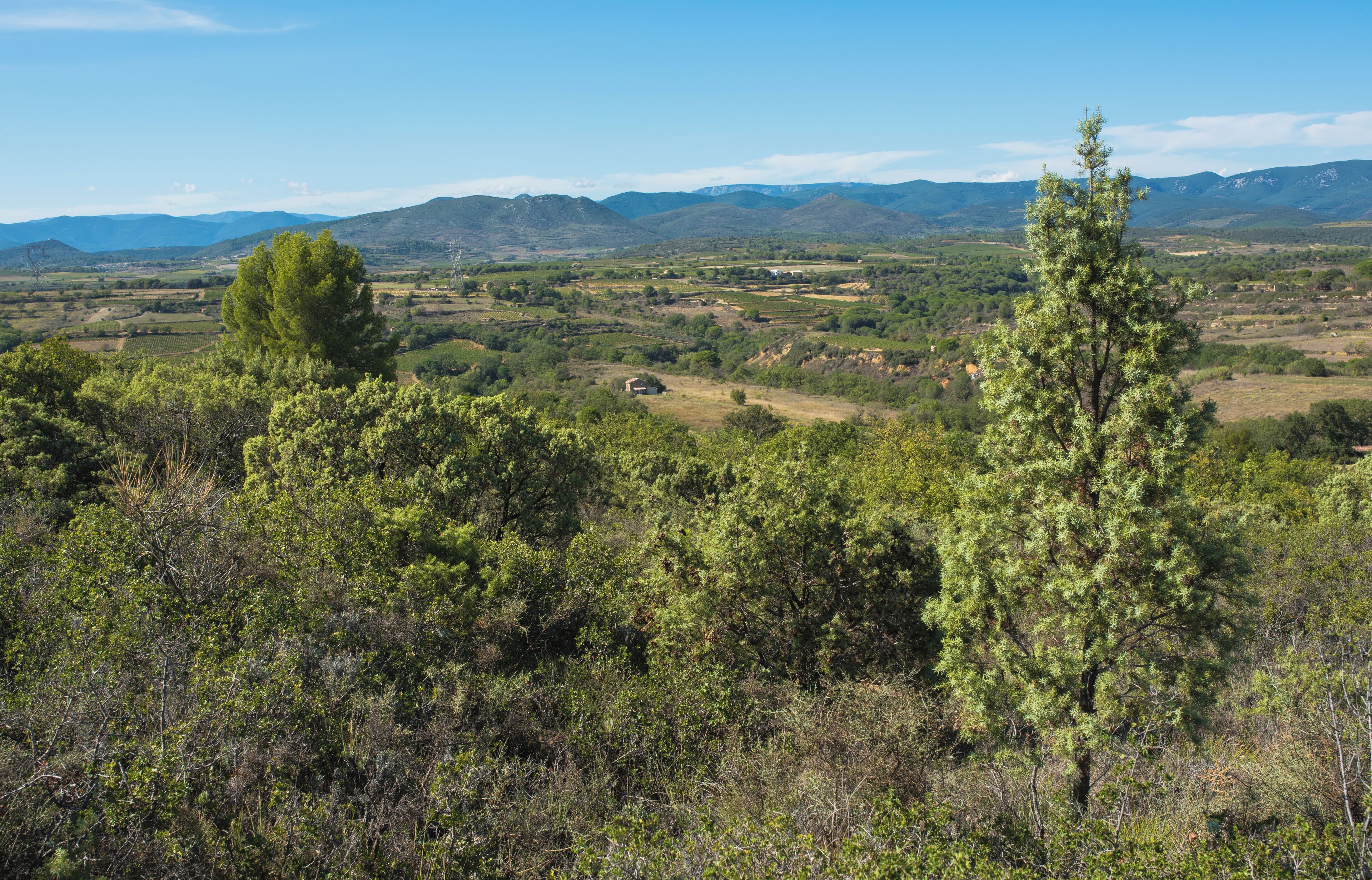 Hills, fieds and garrigue in the commune of Murviel-lès-Béziers, Hérault, France.