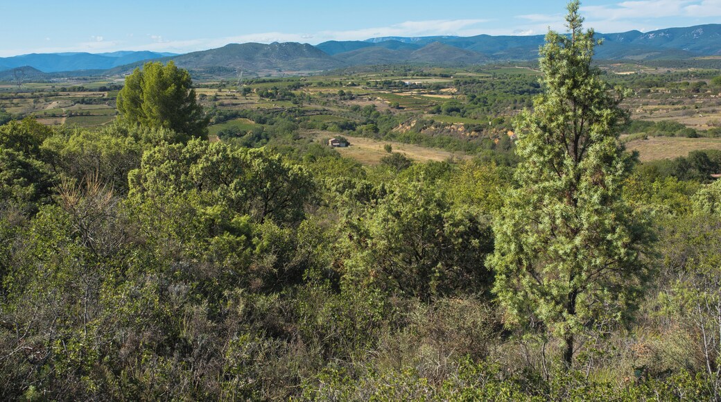 Hills, fieds and garrigue in the commune of Murviel-lès-Béziers, Hérault, France.