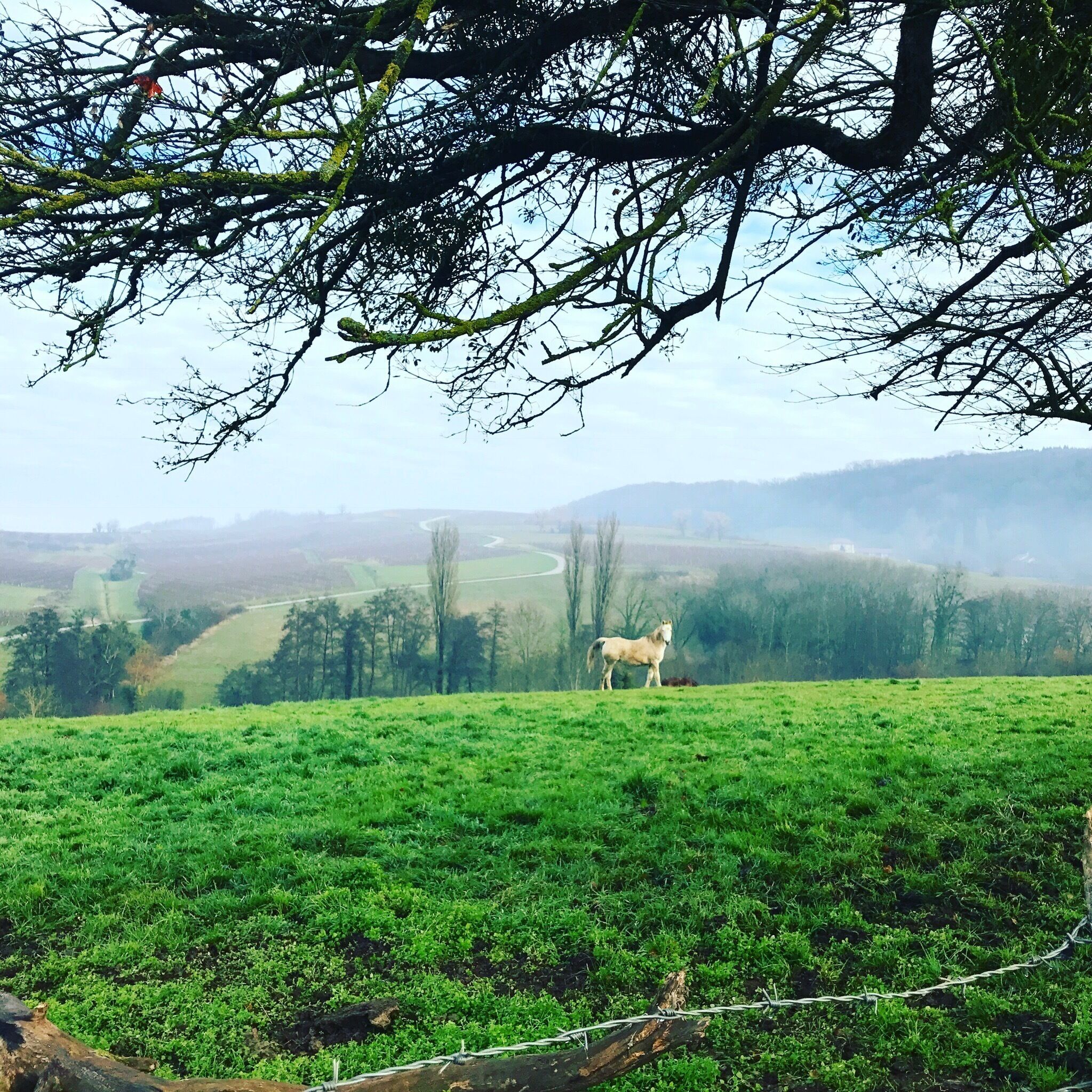 Passenans-Jura- East of France 