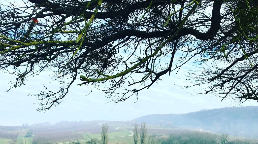 Passenans-Jura- East of France