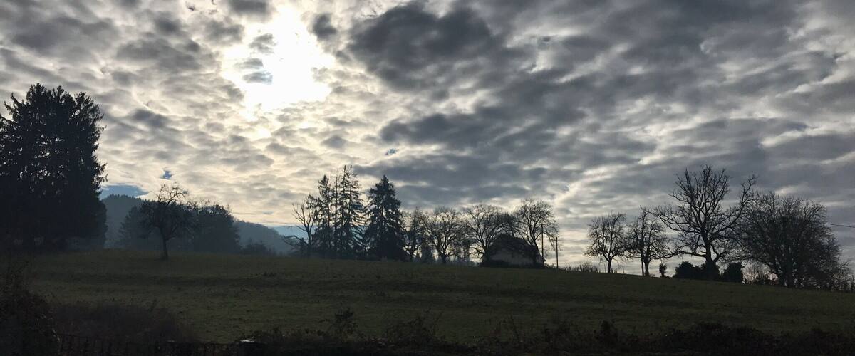 A cloudy sky over a grassy field with trees and a red mailbox.