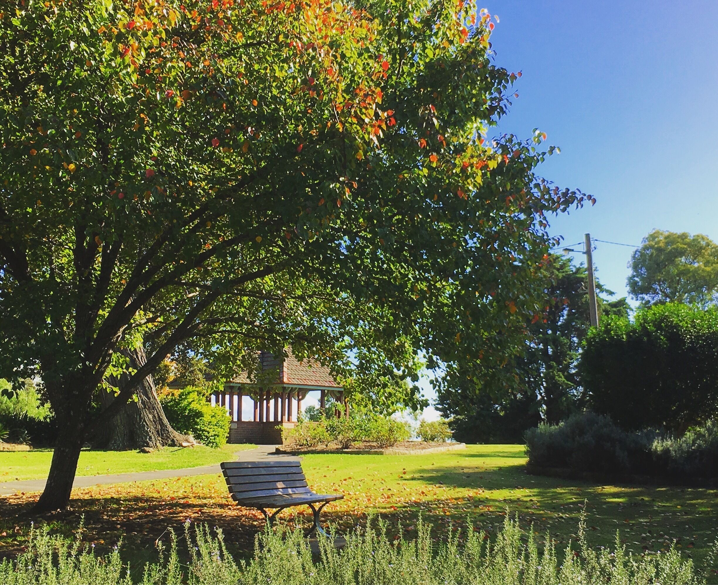 Gorgeous park for picnics 
