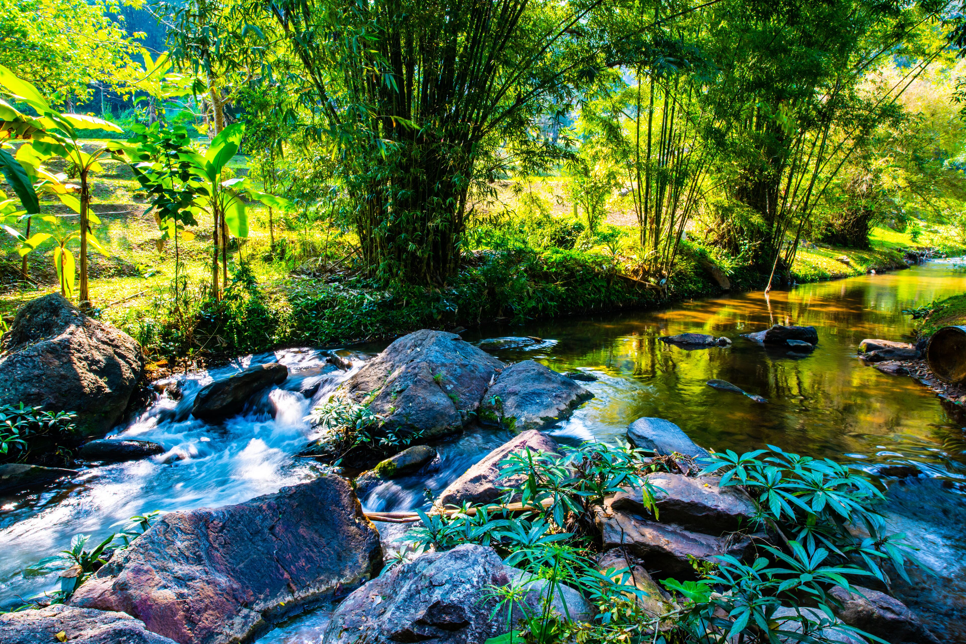 Mountain stream in Chiangmai province