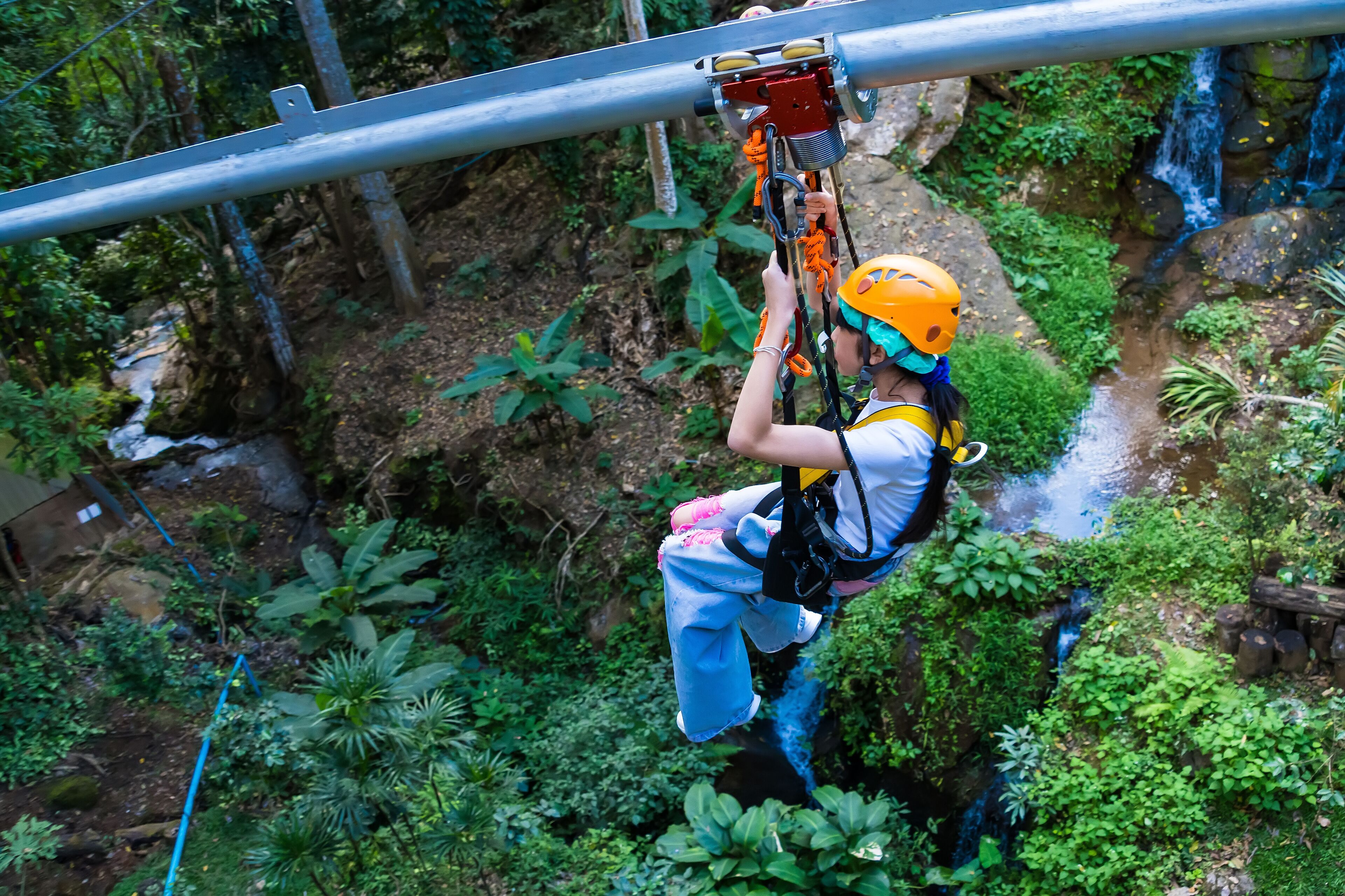 Chiang Mai, Thailand - January,04, 2024: Tourist on a zip line, An activity in a hill at Pong Yaeng Jungle Coaster and Zip Line.