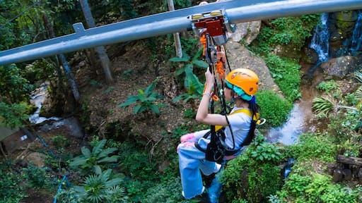 Chiang Mai, Thailand - January,04, 2024: Tourist on a zip line, An activity in a hill at Pong Yaeng Jungle Coaster and Zip Line.