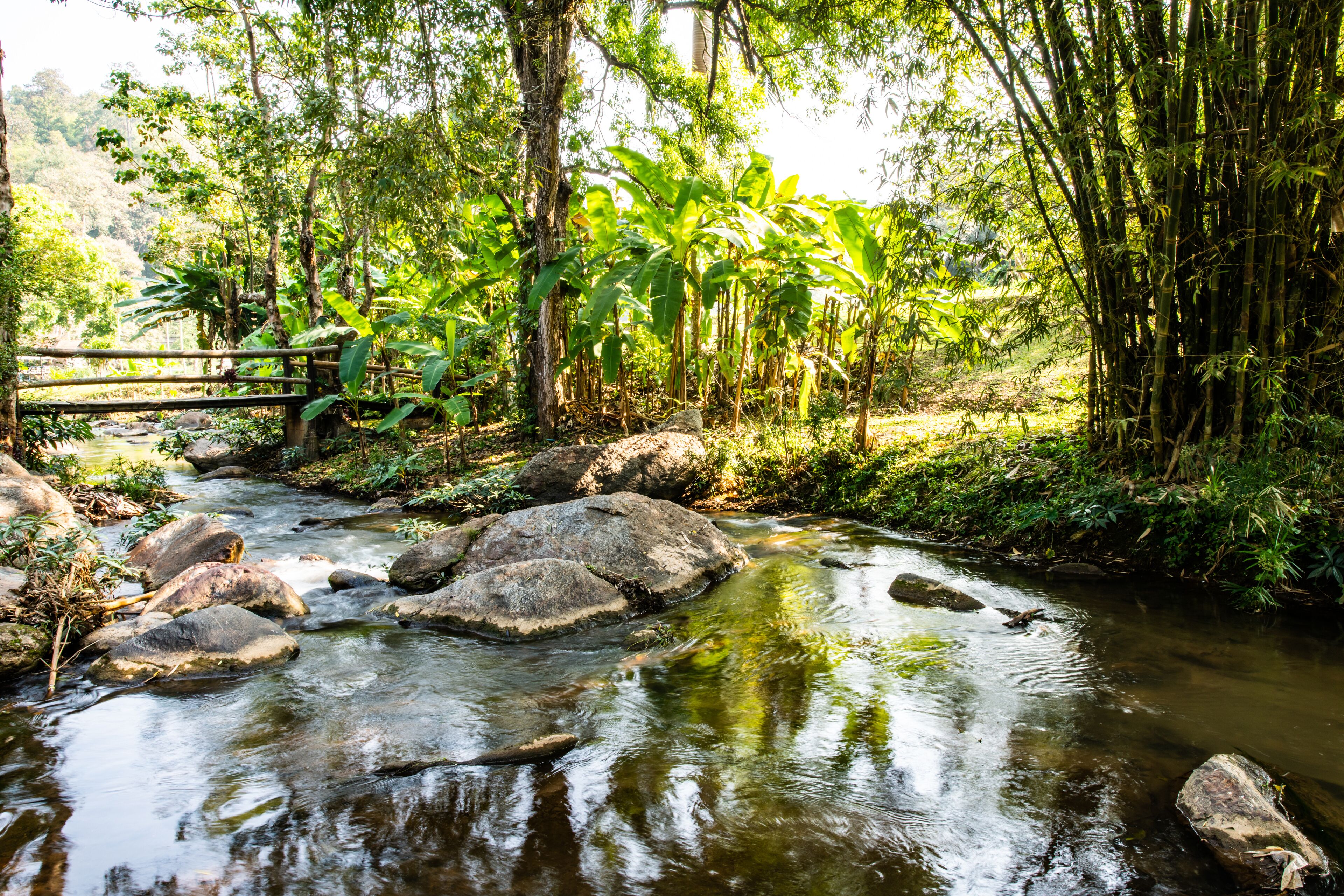 Mountain stream in Chiangmai province