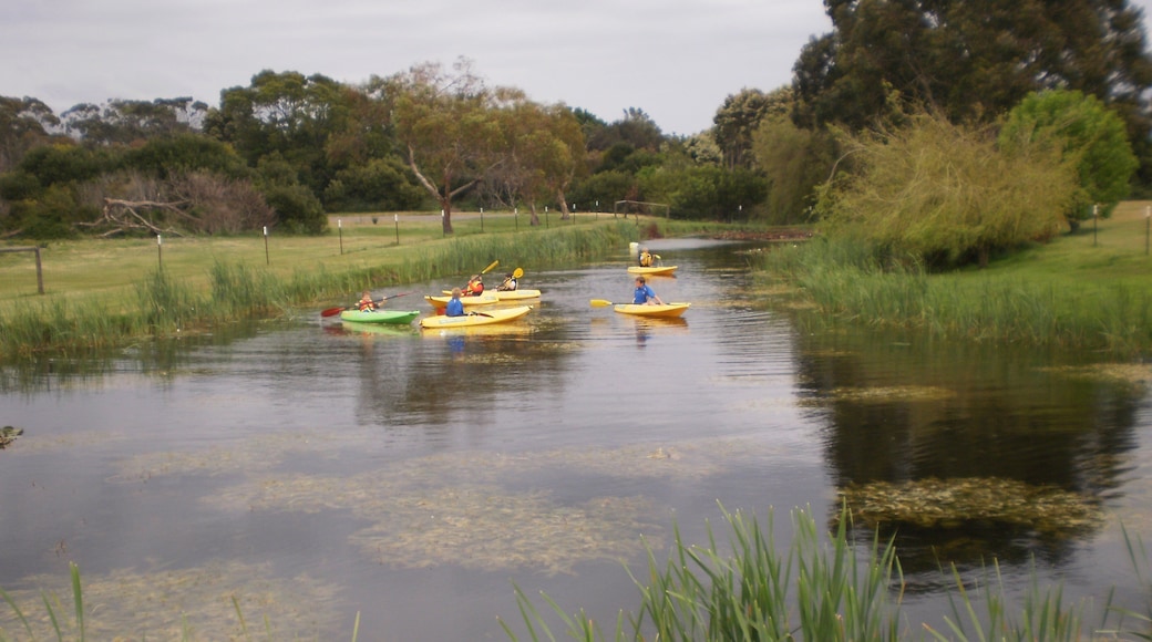 Port Sorell montrant scènes tranquilles, kayak ou canoë et mare