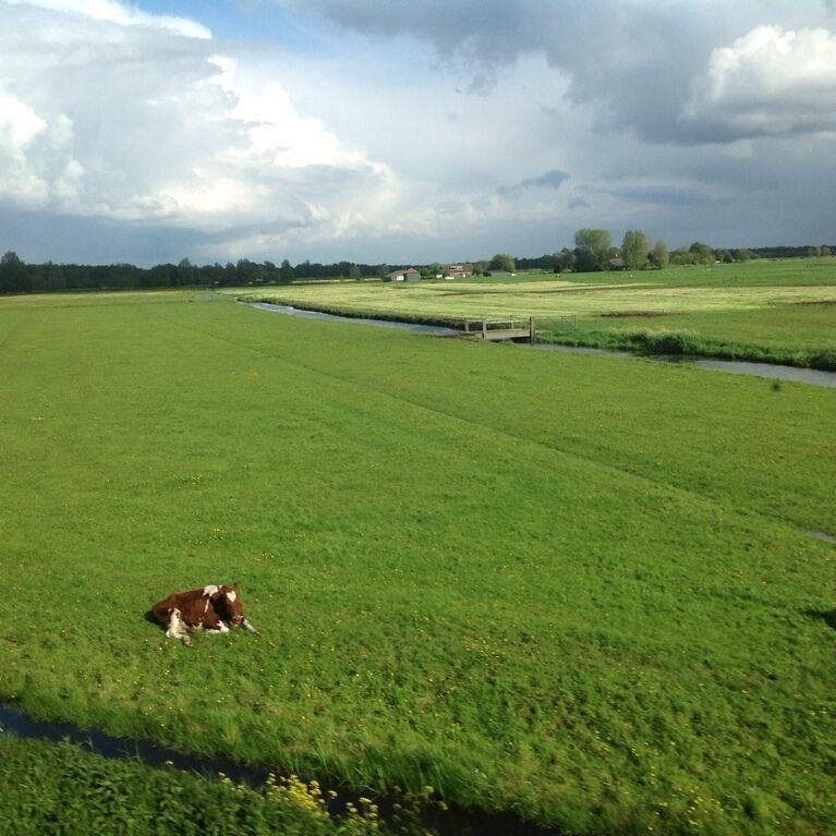 With a windmill around the corner, one cannot get more Holland then this