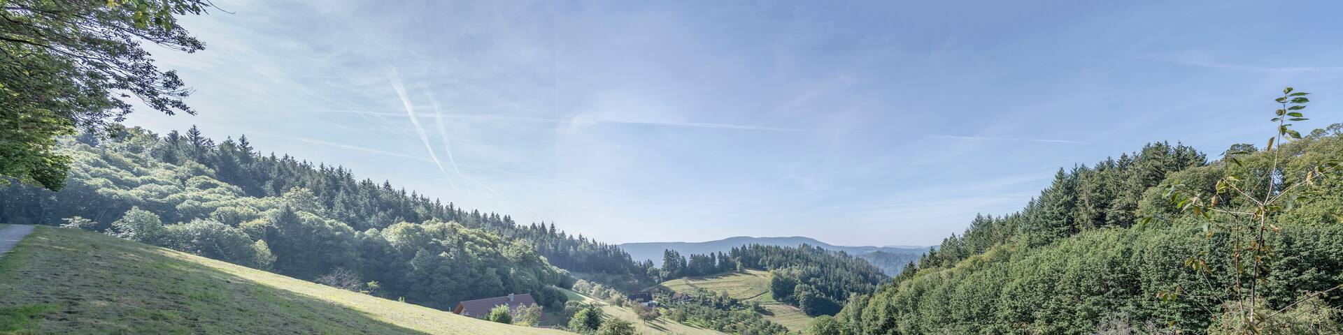 green glade among woods near Lautenbach, Black Forest, Germany