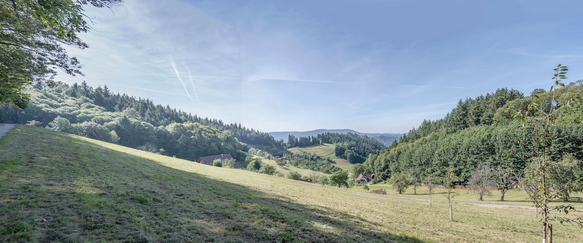A hilly landscape with a clear sky, a road, and scattered trees.