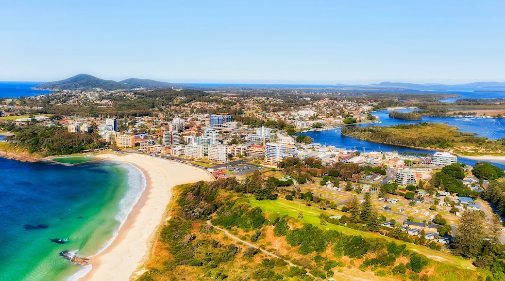 D Forster beach park downtown