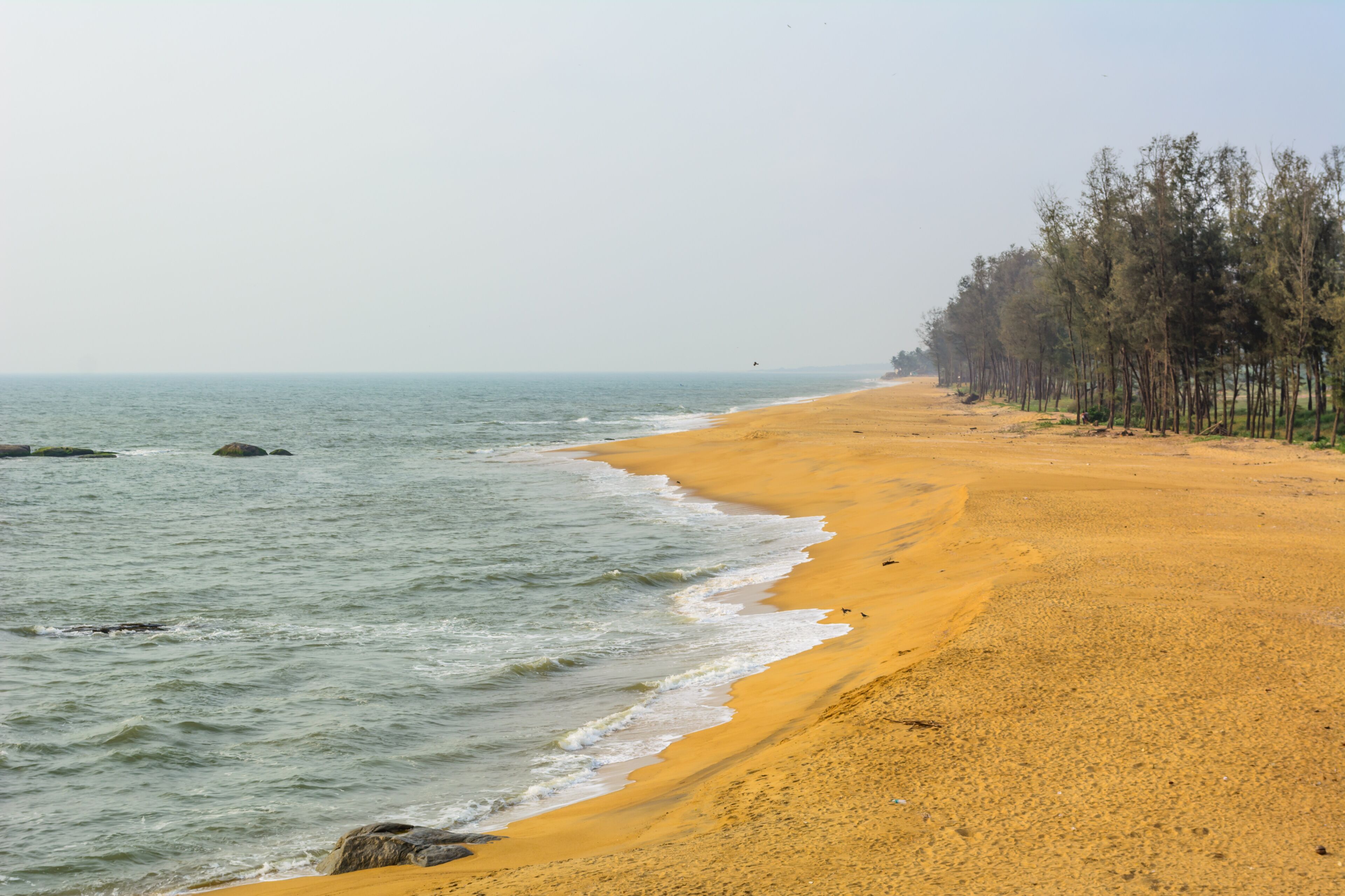 A sandy beach with gentle waves, a clear sky, and a line of trees along the shore.