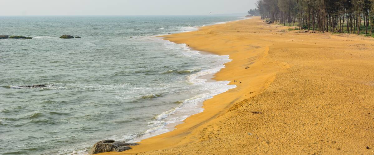 A sandy beach with gentle waves, a clear sky, and a line of trees along the shore.