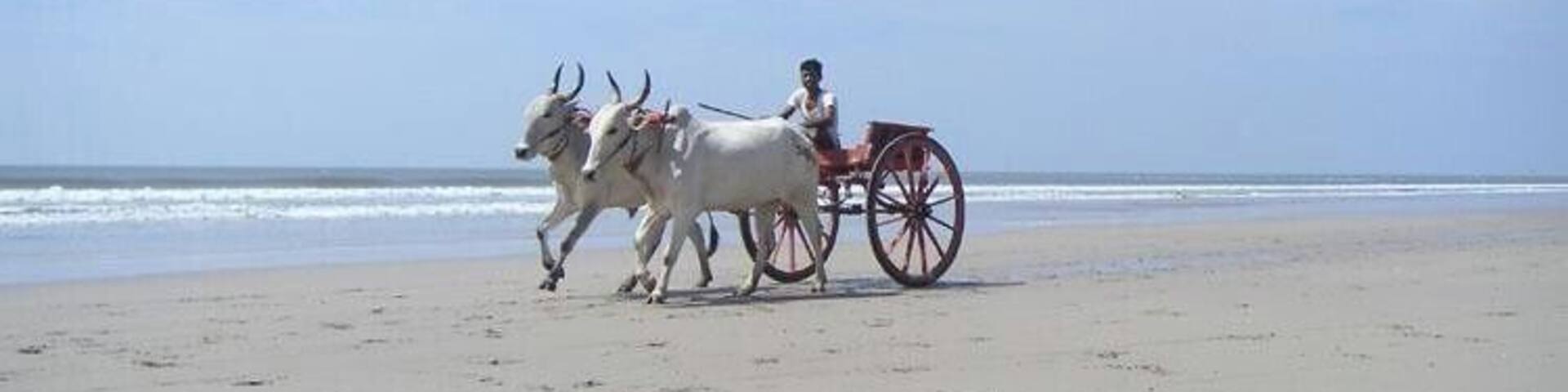 GanpatiPule Beach, Ratnagiri, India
#LifeAtExpedia