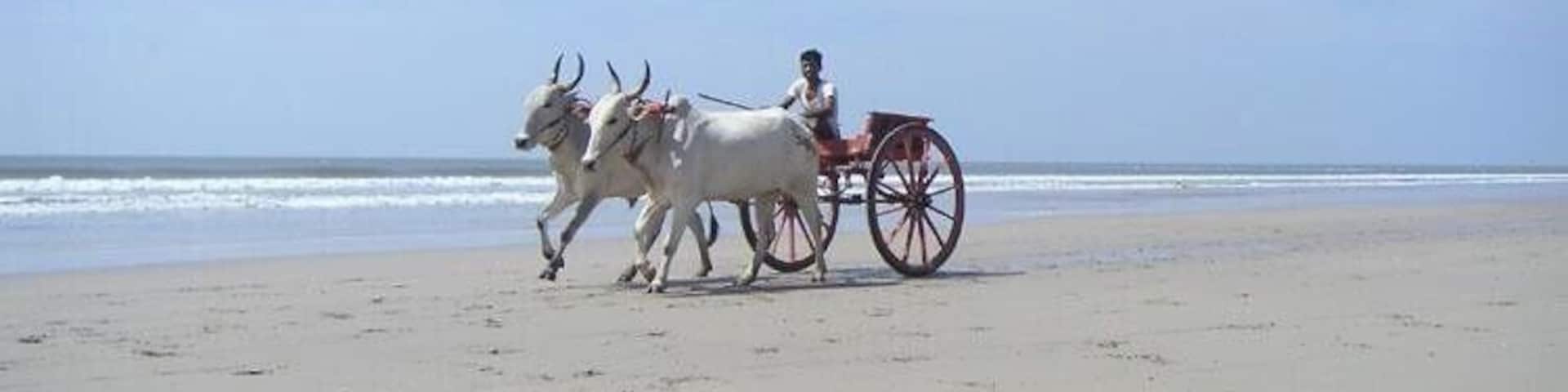 GanpatiPule Beach, Ratnagiri, India
#LifeAtExpedia