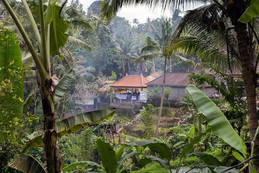 Beautiful landscape of a tropical Indonesian rainforest. Palm trees and a village near