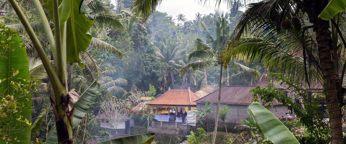 A lush tropical landscape with banana trees, a thatched-roof house, and dense greenery.
