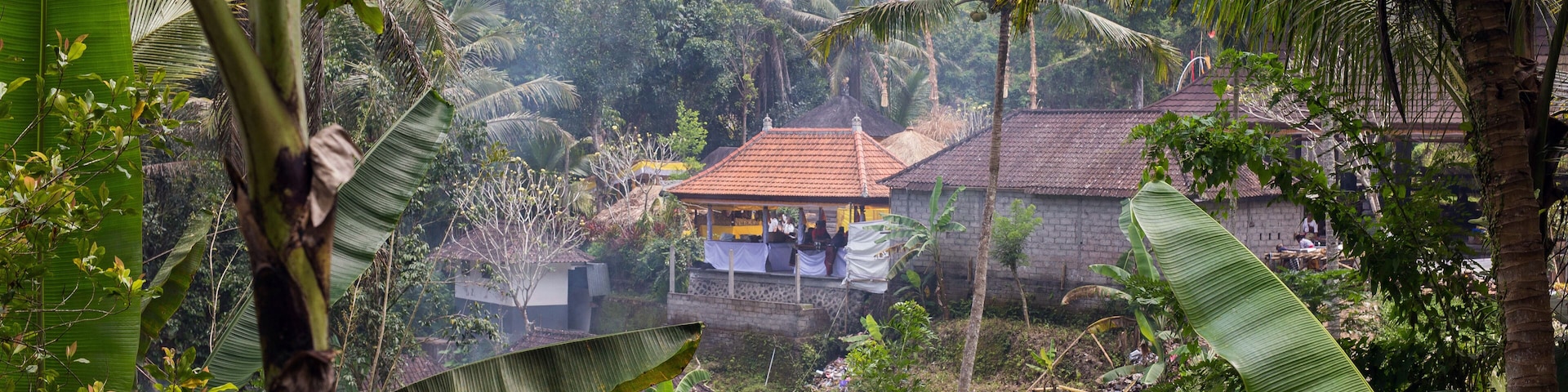 A lush tropical landscape with banana trees, a thatched-roof house, and dense greenery.