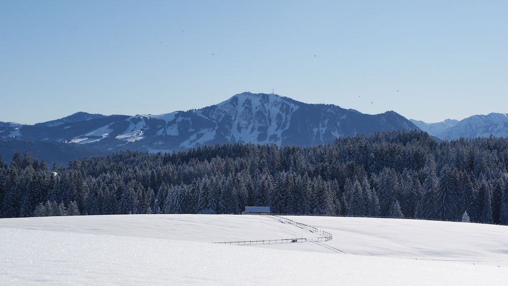 Schneebedeckte Landschaft mit einer Skipiste, einem Wald und einem Gebirgszug.