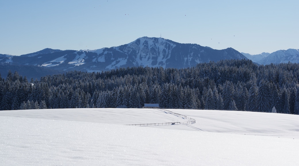 Ballons über dem Grünten