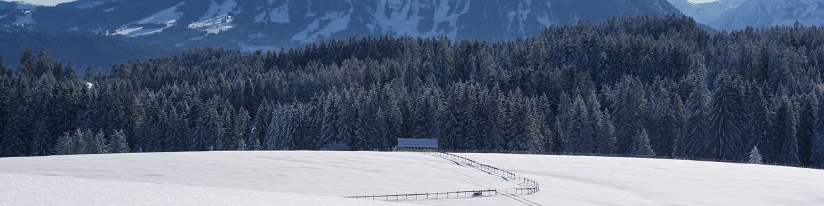 Schneebedeckte Landschaft mit einer Skipiste, einem Wald und einem Gebirgszug.