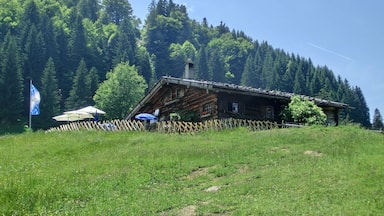 A wooden chalet on a grassy hill with a forested backdrop.