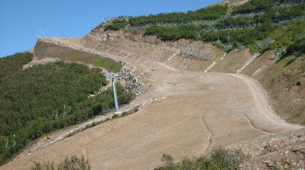 STRADA PER MONTE TAMAI