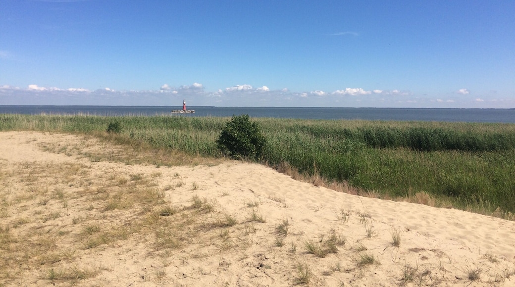 Curonian Spit