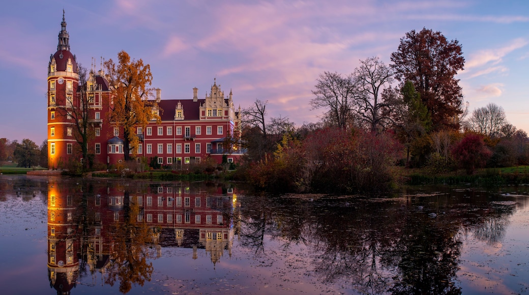 Leknica