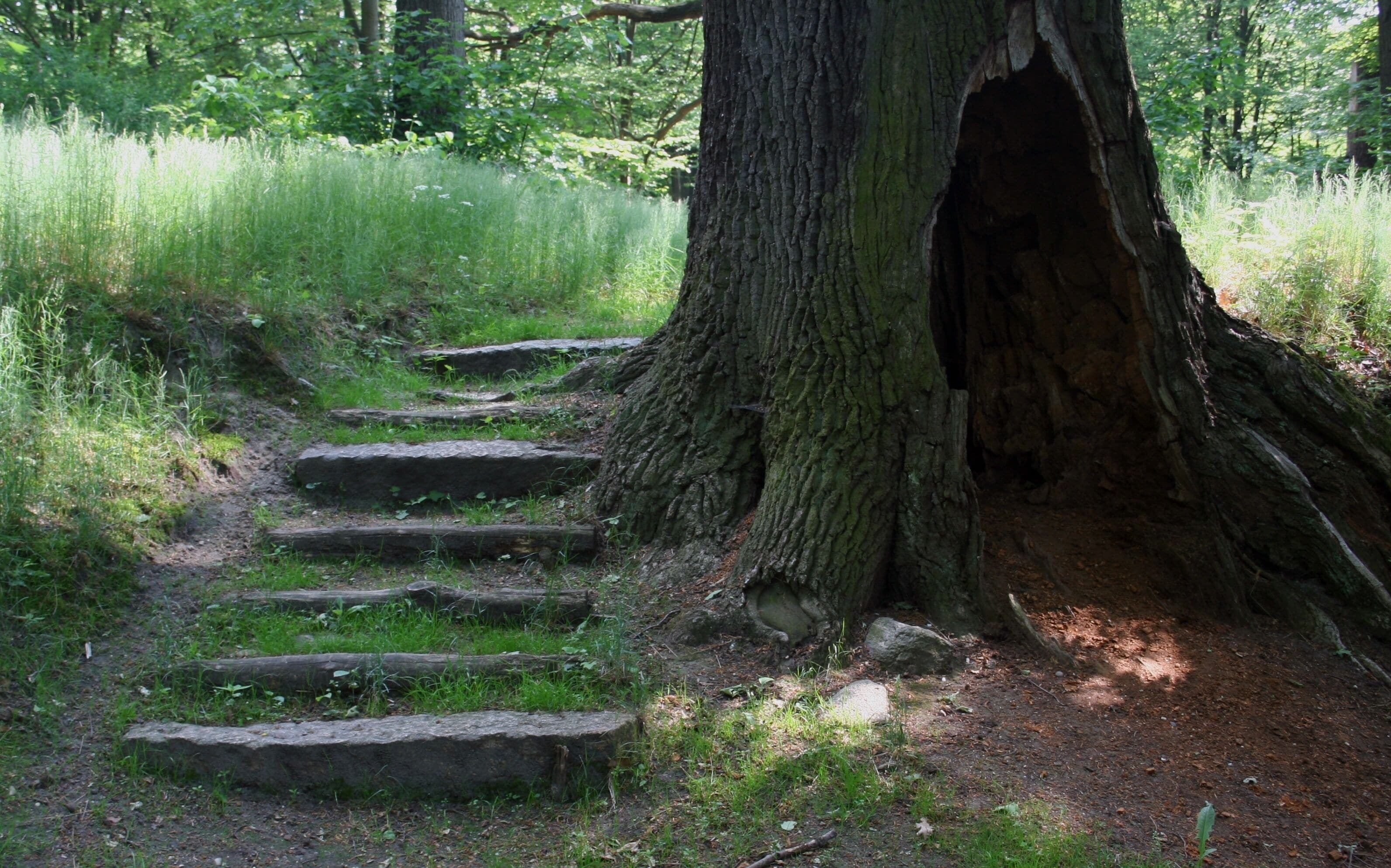 Park Mużakowski, fragment