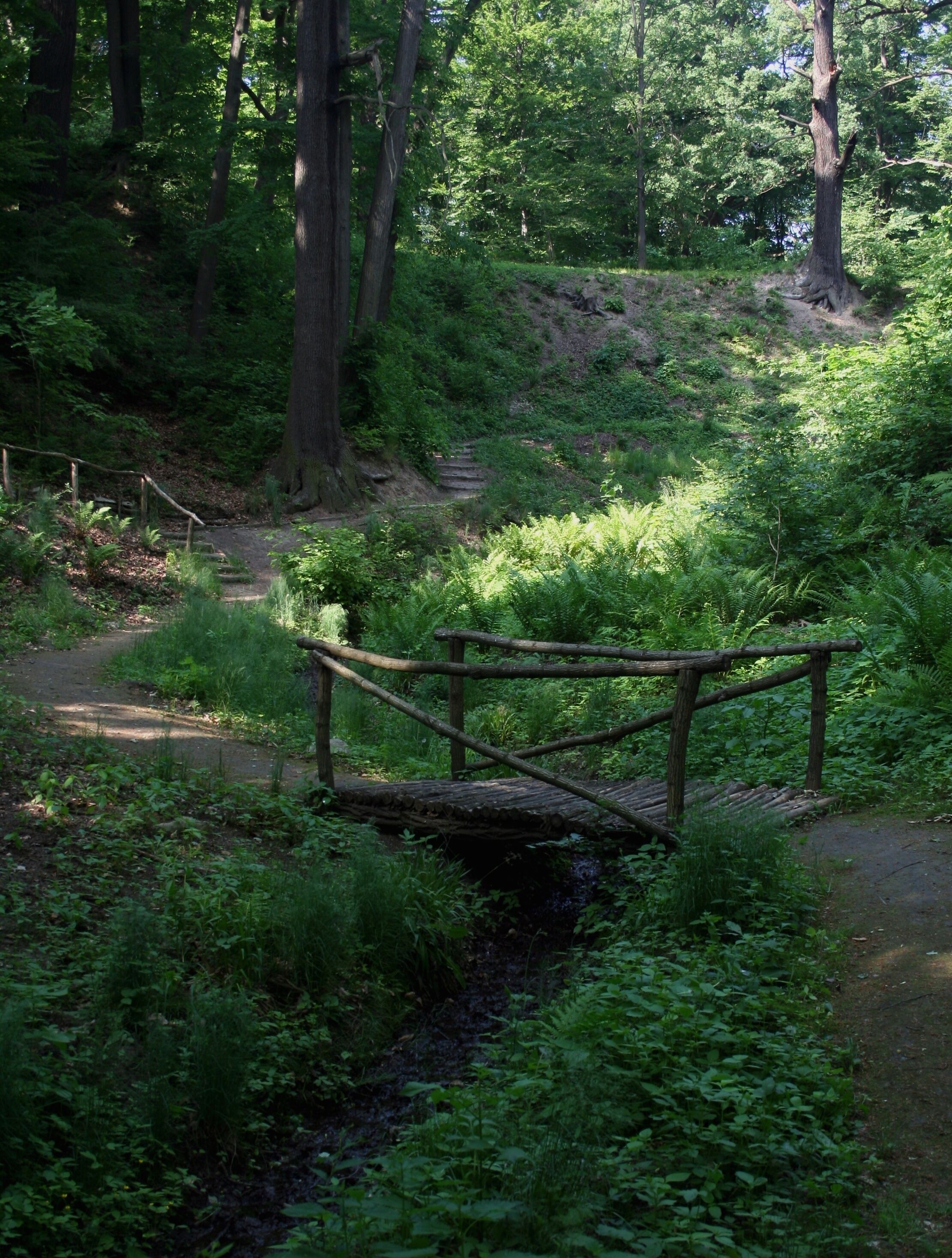 Park Mużakowski, fragment