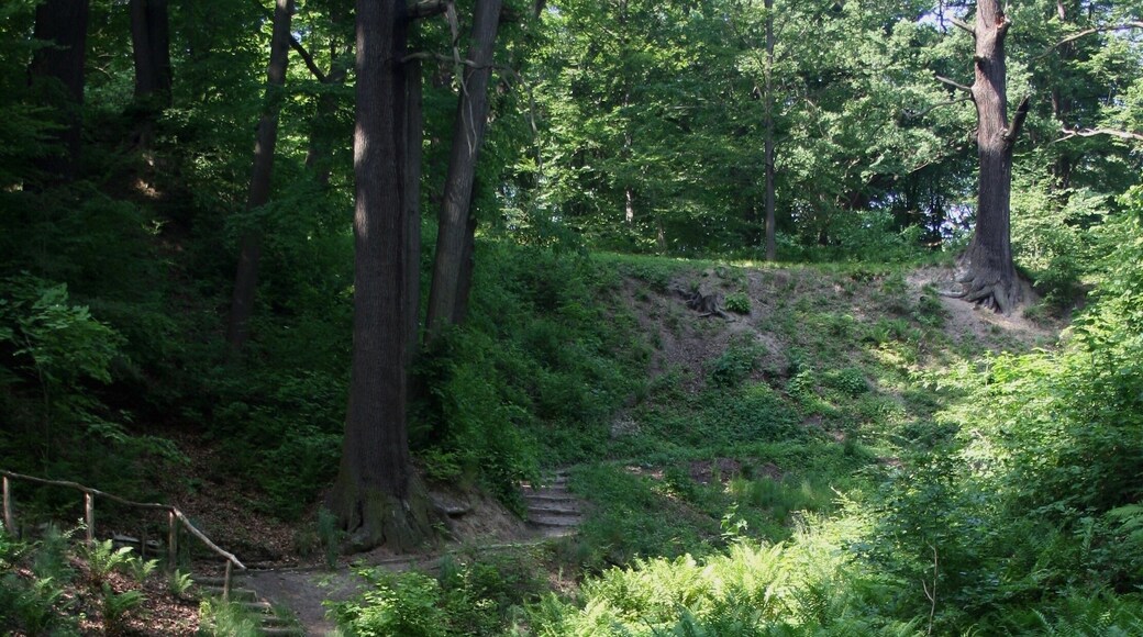 Park Mużakowski, fragment