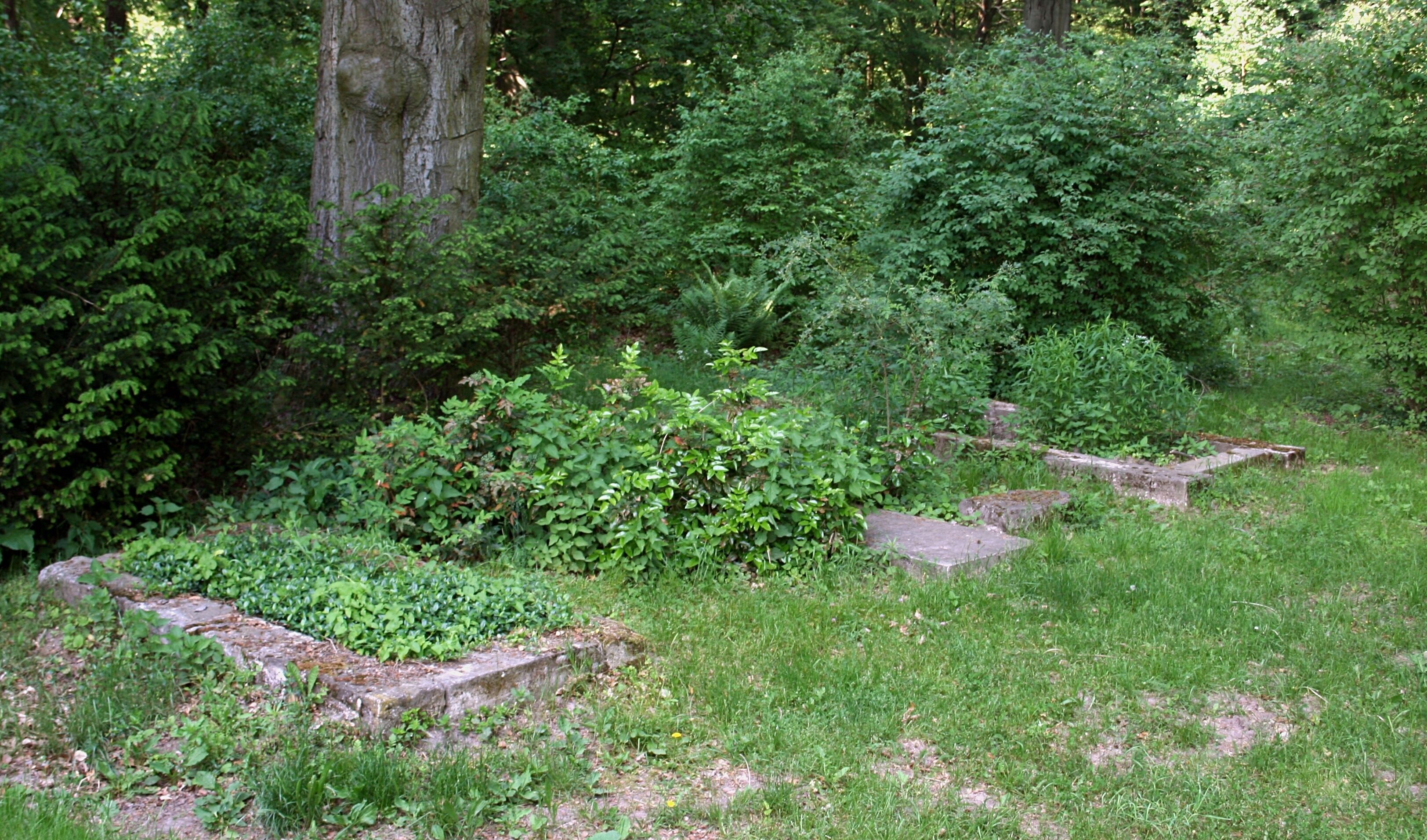 Groby w miejscu, w jakim miało powstać mauzoleum w Parku Mużakowskim