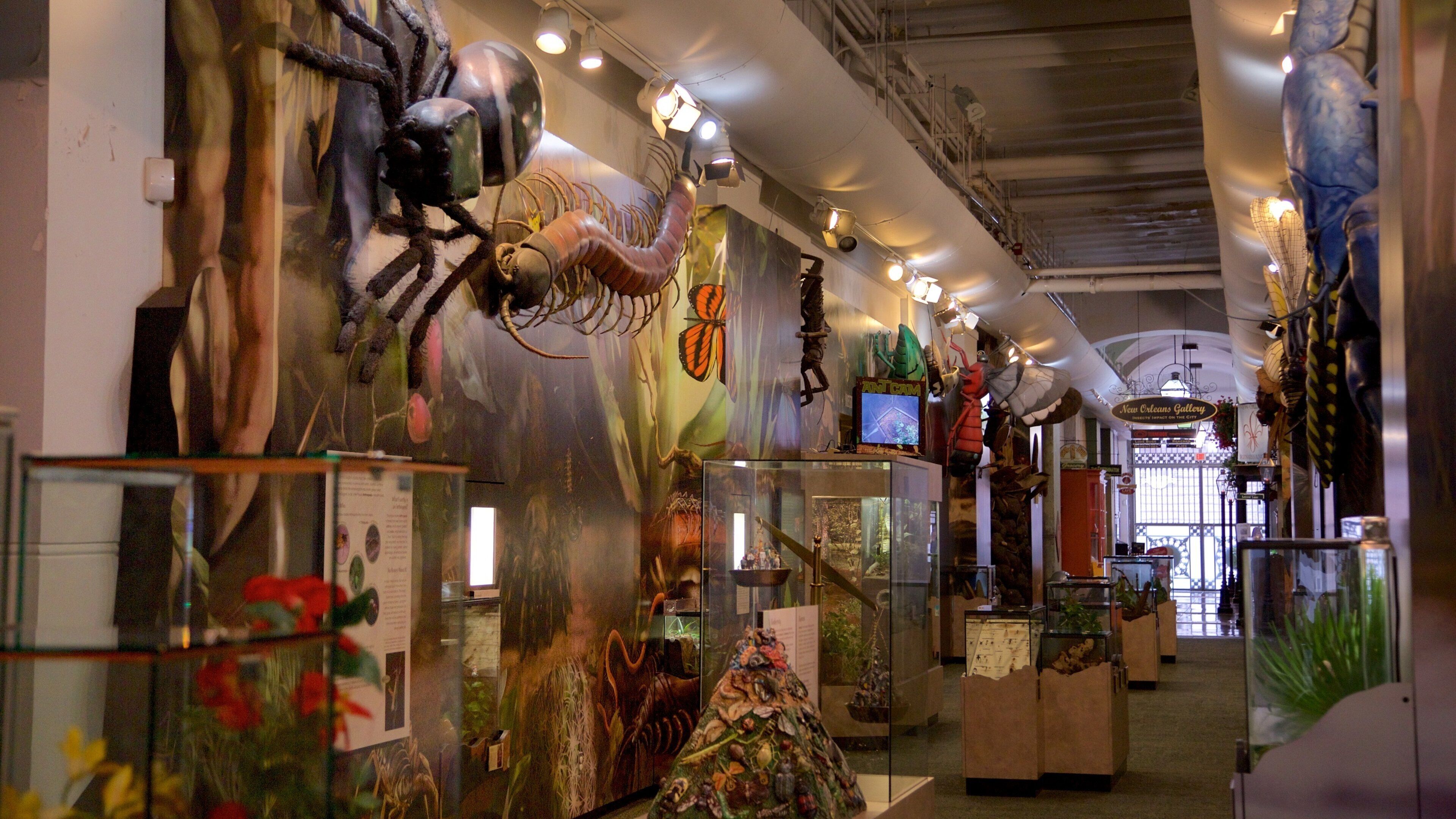 Audubon Insectarium featuring interior views