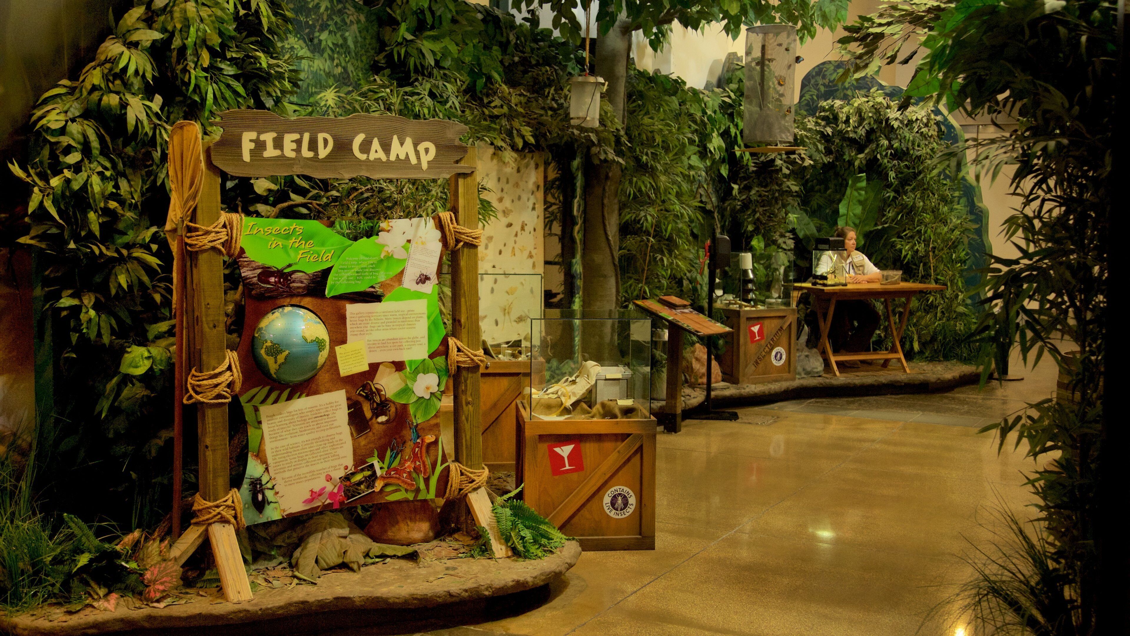 Audubon Insectarium showing signage and interior views