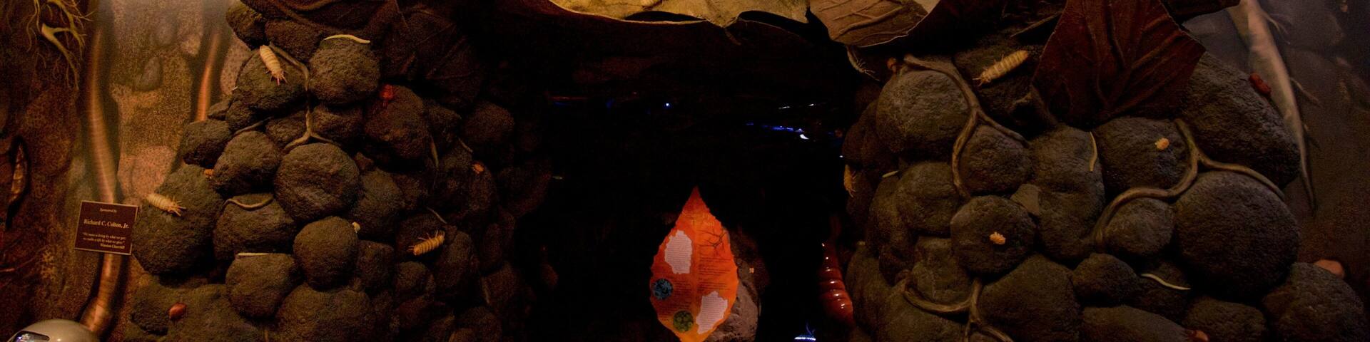 A display titled 'Underground' with a rocky and leaf-covered backdrop.