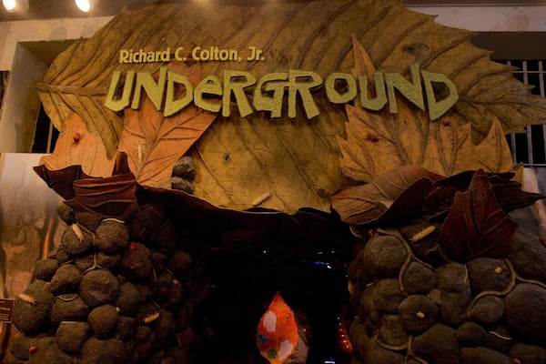 A display titled 'Underground' with a rocky and leaf-covered backdrop.