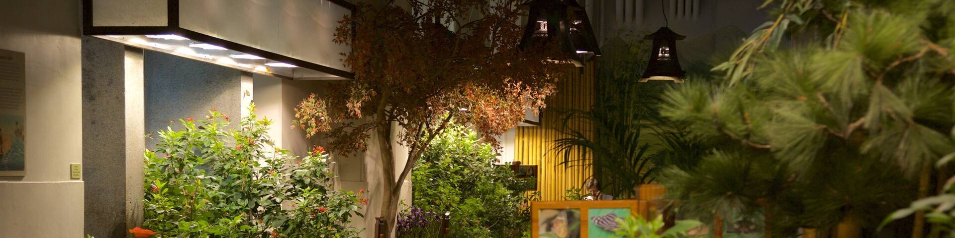 Audubon Insectarium mit einem Innenansichten und Park