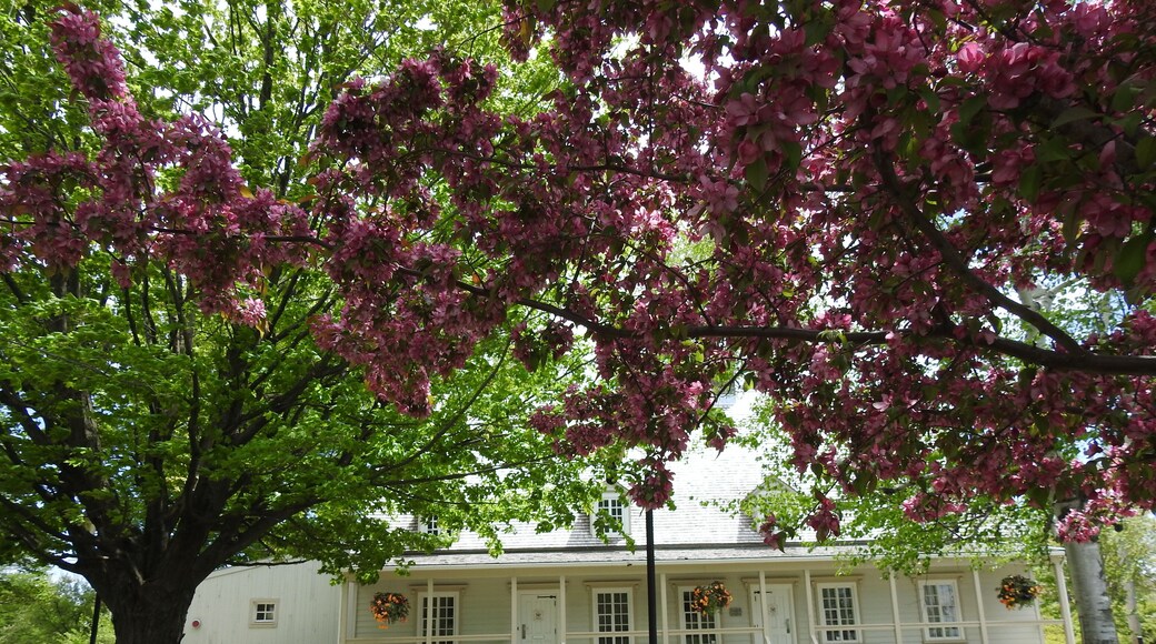 The seigneurial manor Couillard-Dupuis is located in Montmagny, in Chaudière-Appalaches, in a peaceful environment on the banks of the South River. Jean-Baptiste Couillard-Dupuy was lord of the estate on the right bank of the South River from 1797 to 1841.