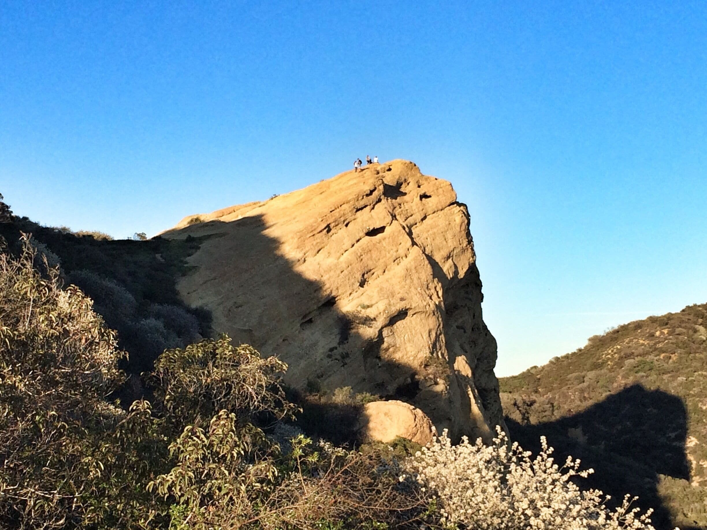 The mighty eagle. Topanga Canyon / Eagle Rock #hike. #California