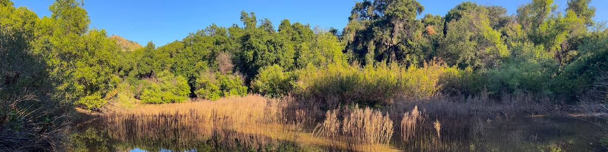 Trippet Ranch, Topanga Canyon State Park, Santa Monica Mountains
