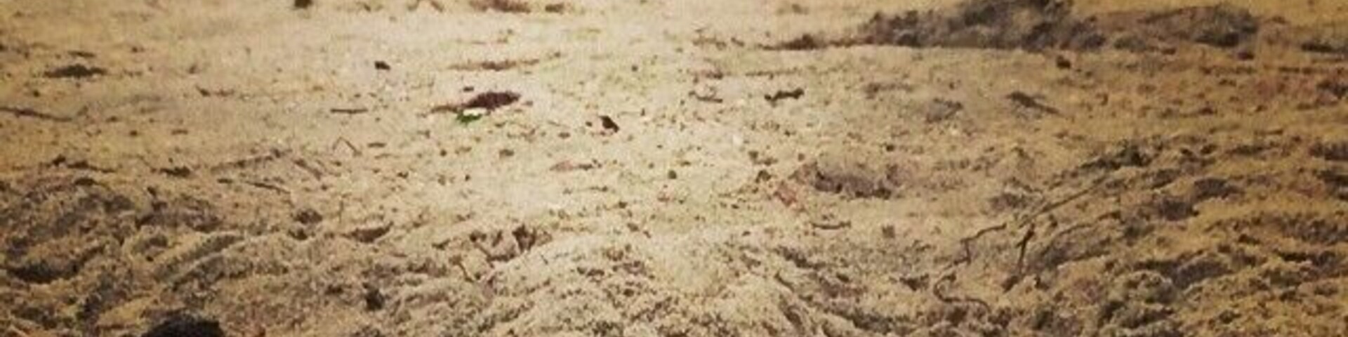 Surfing at Topanga Beach. <3