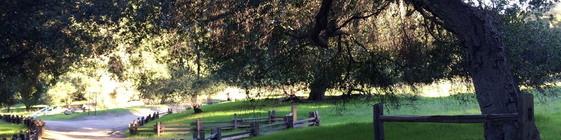 Trail head at Topanga Canyon / Eagle Rock #hike. Haven't seen Cali this green in a long time. Thank you rain Gods! (Keep it coming) 💦💚 #California
